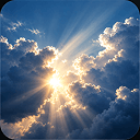 Environment market